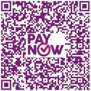 Paynow for Donation pg